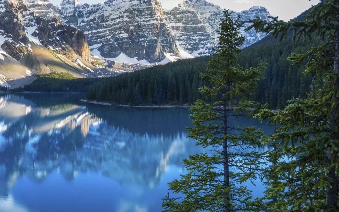 paisaje-de-lago-en-el-bosque-alberta-canada-6482